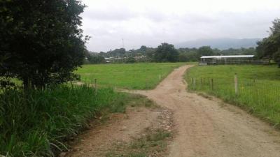 88982 - Paso blanco - lotes