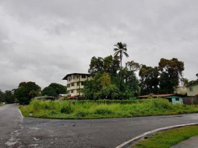 88987 - Juan diaz - lotes