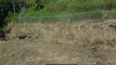 89487 - Las mañanitas - lotes