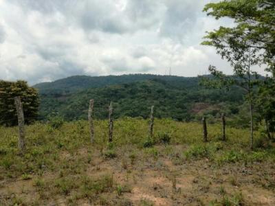 89635 - Tocumen - lotes