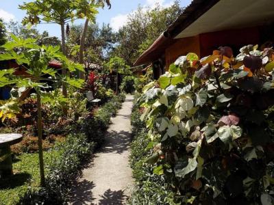 89896 - Coclé - inversiones