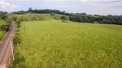 90242 - La Chorrera - lotes