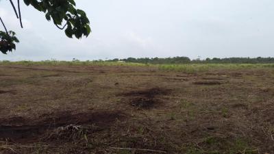 90289 - Vista alegre - lotes