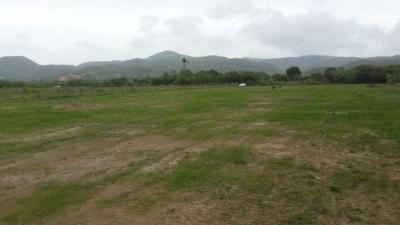 90381 - El coco - penonome - lotes