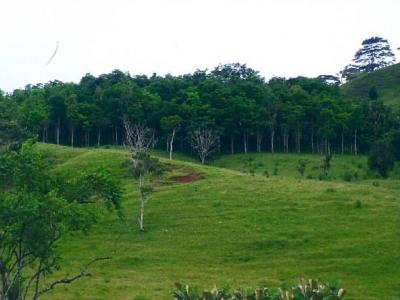 90452 - Capira - lotes