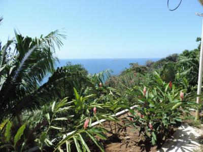 90466 - Portobelo - lotes