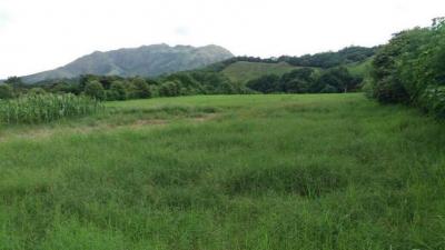 91063 - Punta chame - lotes