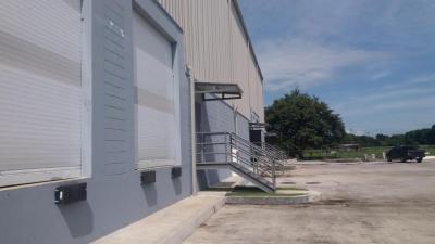 91329 - David - galeras