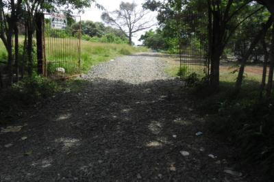 91348 - La Chorrera - lots