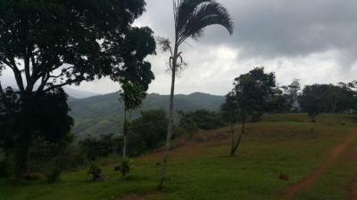 91764 - Cerro azul - lots