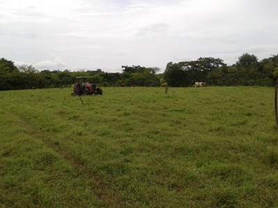 9185 - Aguadulce - fincas