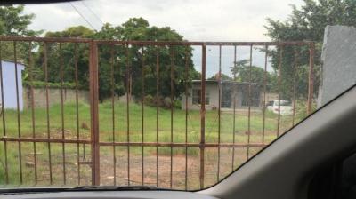 92226 - La Chorrera - lotes