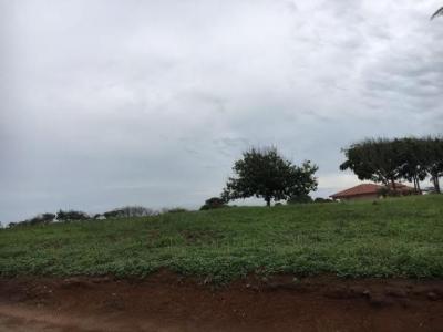 92301 - Coronado - lots