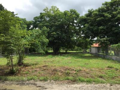 93607 - Reparto nuevo panama - properties