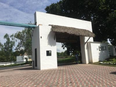 93699 - Coronado - lotes