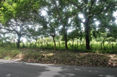 93832 - Sora - lots