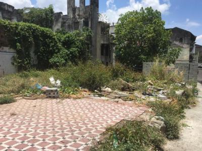 94711 - Calidonia - fincas