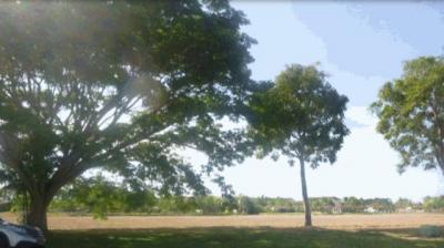 94718 - Rio hato - lotes