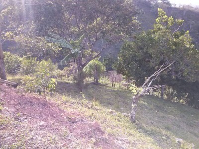 9610 - La Chorrera - lotes