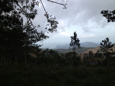 9631 - Chica - propiedades