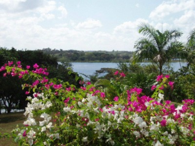 9804 - La Chorrera - lots