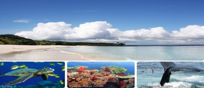 9949 - Pedasí - lotes