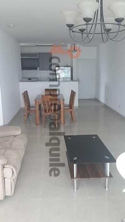 9999 - Punta paitilla - apartments - ph pacific sun